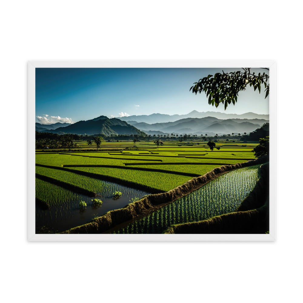 Tableau Paysage Rizière