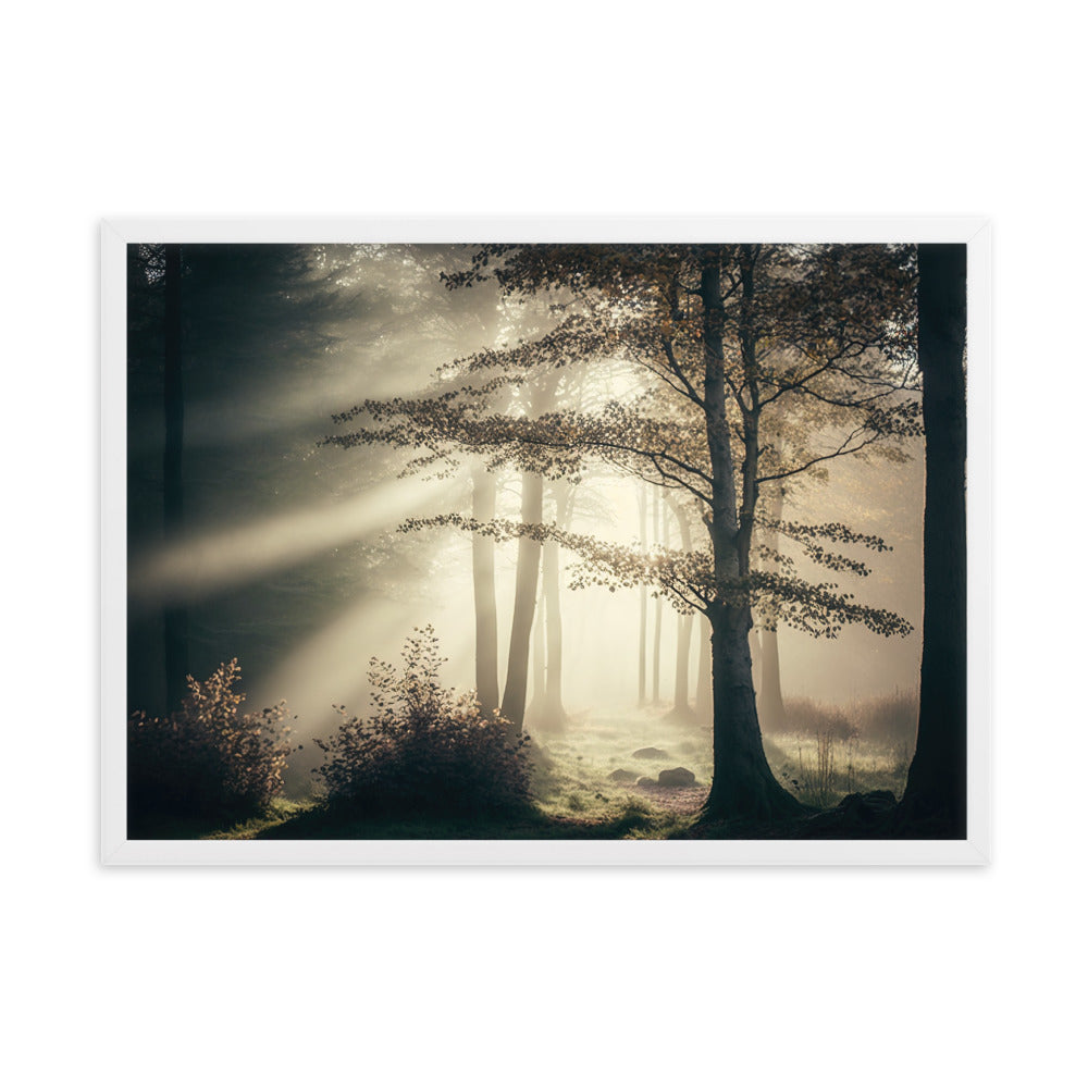 Tableau Paysage Relaxant