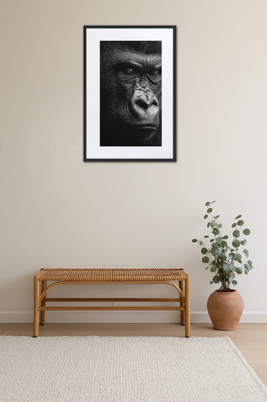 Tableau Animaux Gorille  