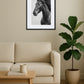 Tableau Cheval Noir et Blanc Crinière