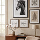 Tableau Cheval Noir et Blanc Crinière