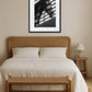 Tableau Cheval Noir et Blanc Ombres