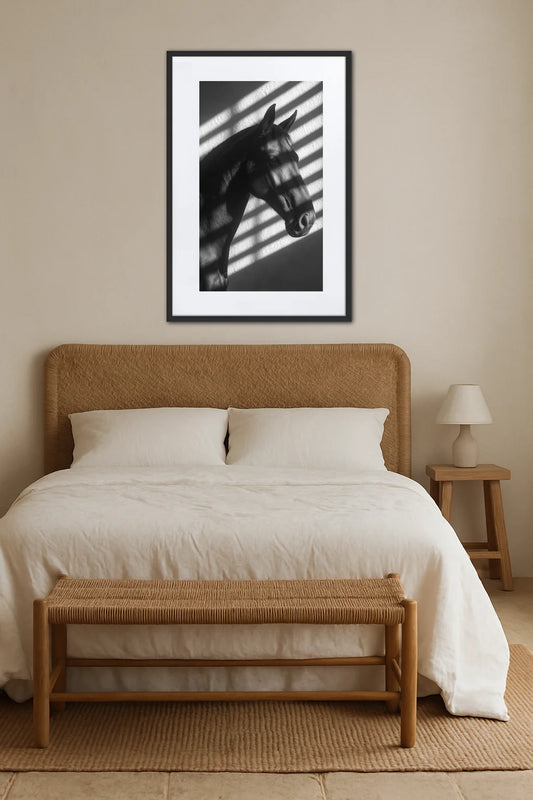 Tableau Cheval Noir et Blanc Ombres