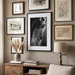 Tableau Cheval Noir et Blanc Regard
