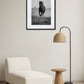 tableau-cheval-photographie