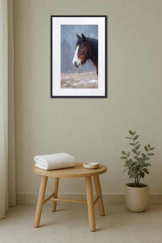 Tableau Cheval Salon