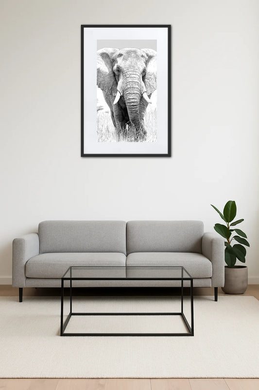 Tableau Dessin Éléphant