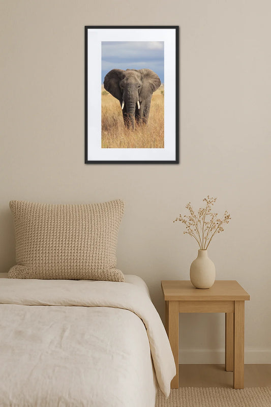 Tableau Éléphant Afrique