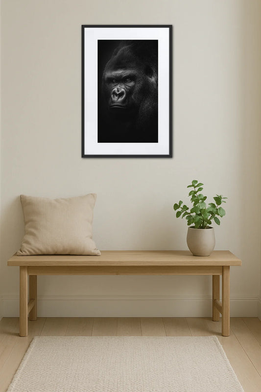 Tableau Gorille Noir Et Blanc