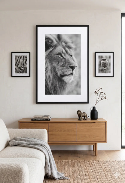 Tableau Lion Noir et Blanc au Crayon