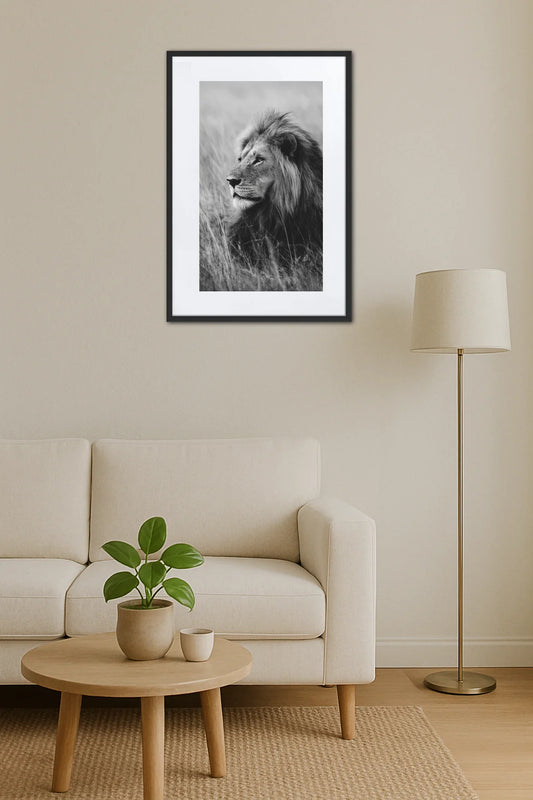 Tableau lion noir et blanc style photo nature dans un salon minimaliste au-dessus d’un canapé