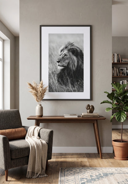 Tableau Lion Noir et Blanc Photo