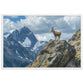 Tableau Montagne Animaux