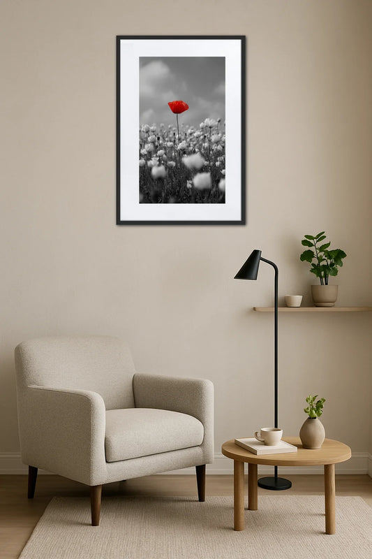 Tableau Noir Et Blanc Avec Touche De Rouge