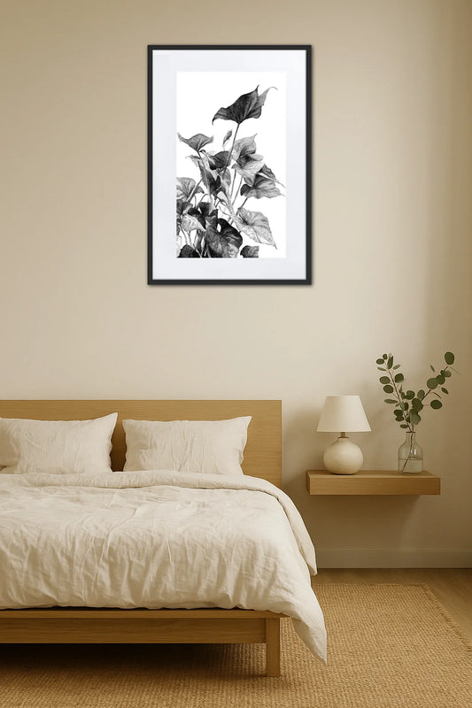 Tableau Noir Et Blanc Dessin