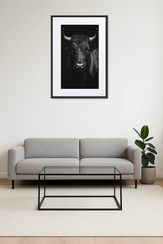 Tableau Noir Et Blanc Taureau