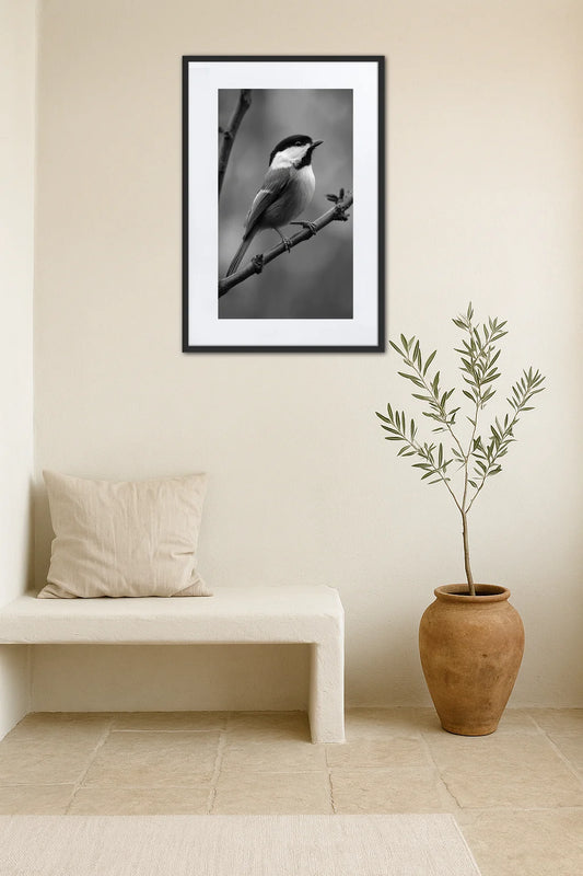 Tableau Oiseau Noir Et Blanc