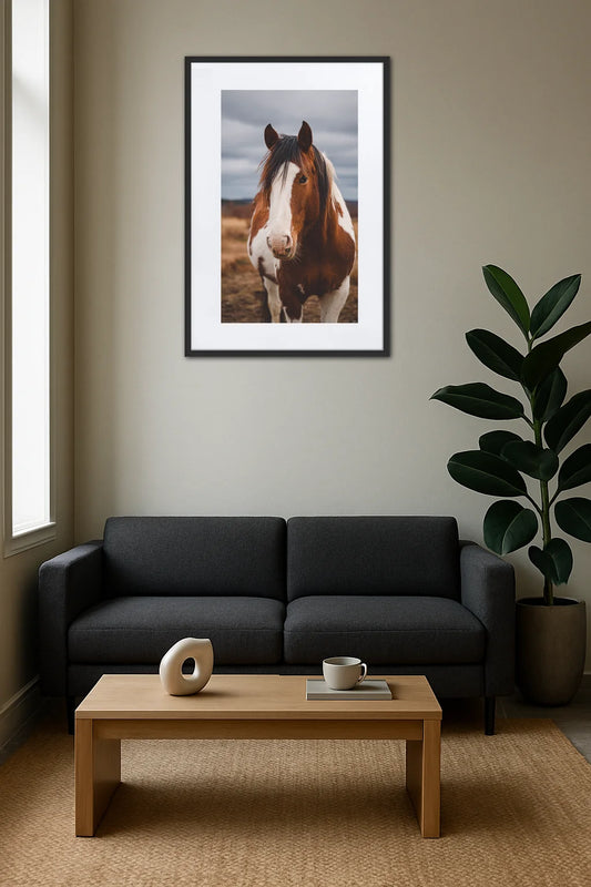 Tableau Photo Cheval