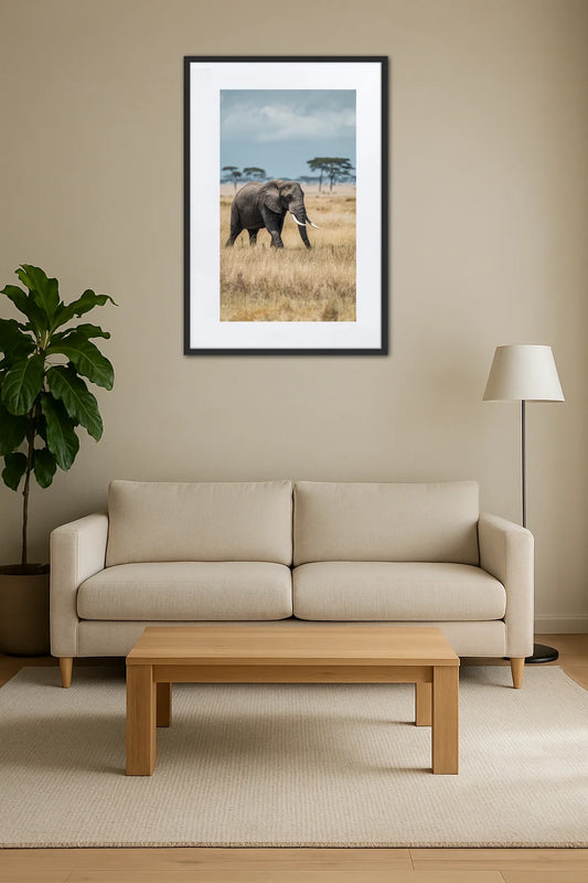 Tableau Photo Éléphant