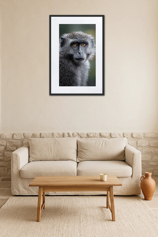 Tableau Photo Singe