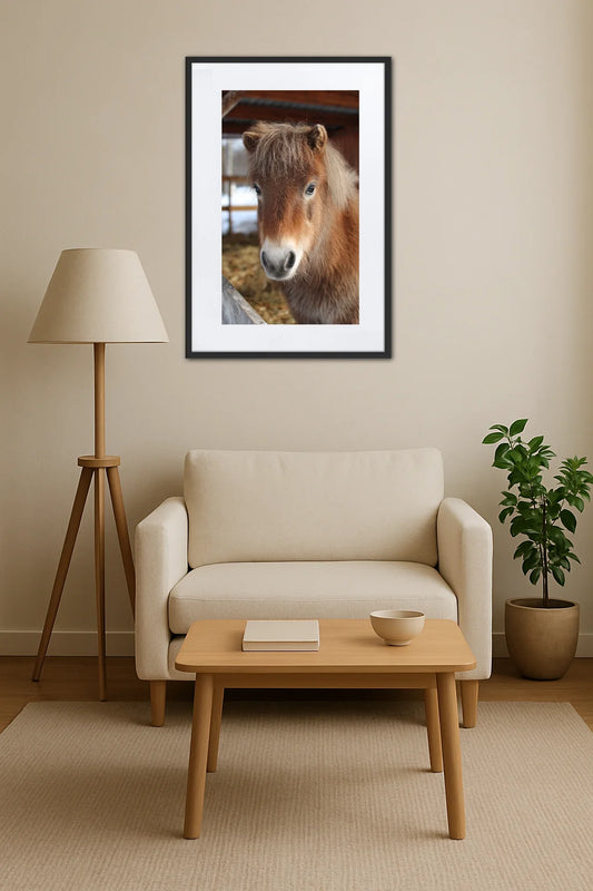 tableau poney accroché au mur au-dessus d’un canapé avec table basse