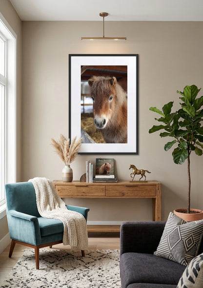Tableau poney