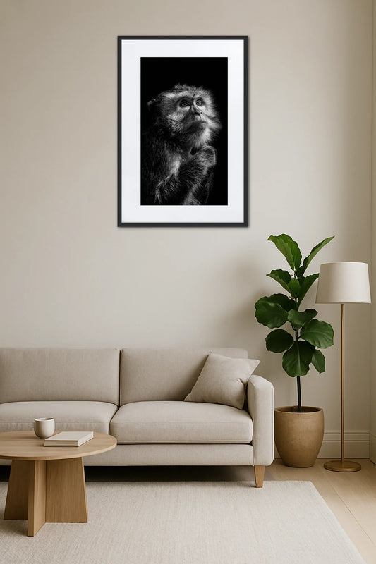 Tableau Singe Noir Et Blanc