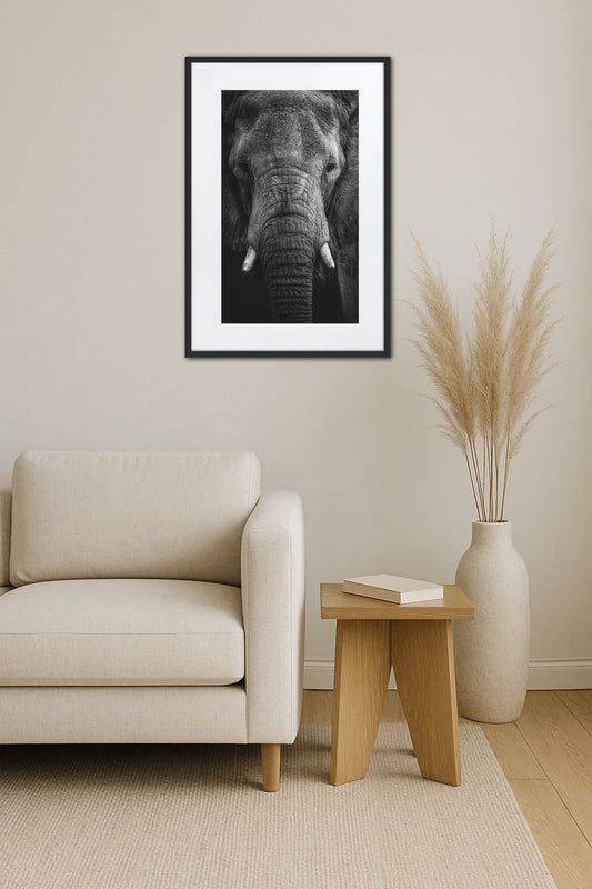Tableau tête d’éléphant noir et blanc accroché au mur au-dessus d’un canapé dans un salon