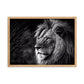 Tableau Lion Noir Et Blanc