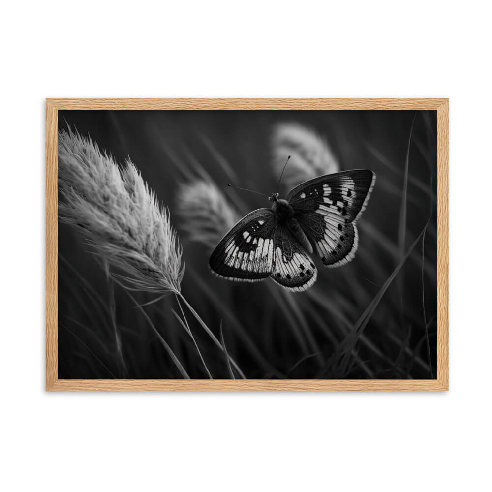 Tableau Noir Et Blanc Papillon