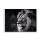Tableau Lion Noir Et Blanc