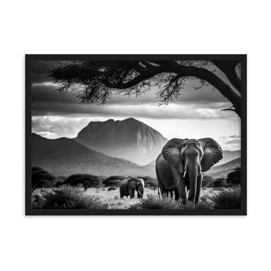 Tableau Noir Et Blanc Elephant